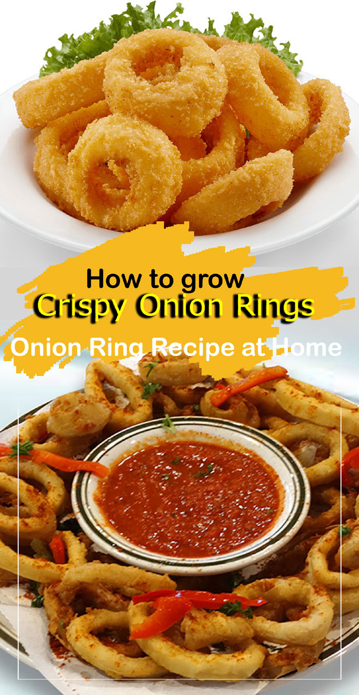 Onion Ring Recipe